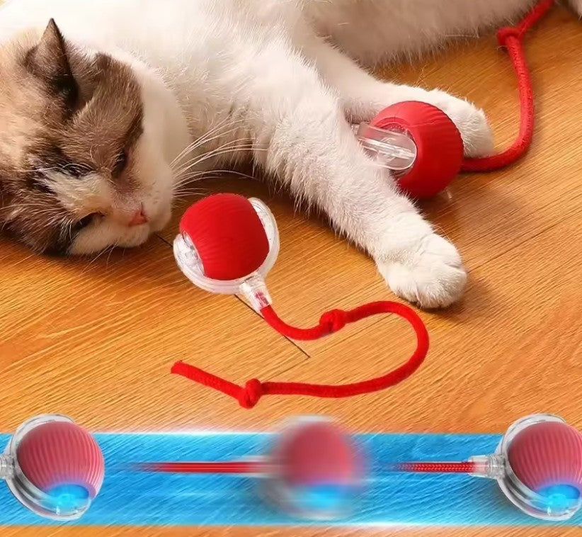 2 Juguetes Antiestrés e Inteligente para Mascotas + 1 de Regalo