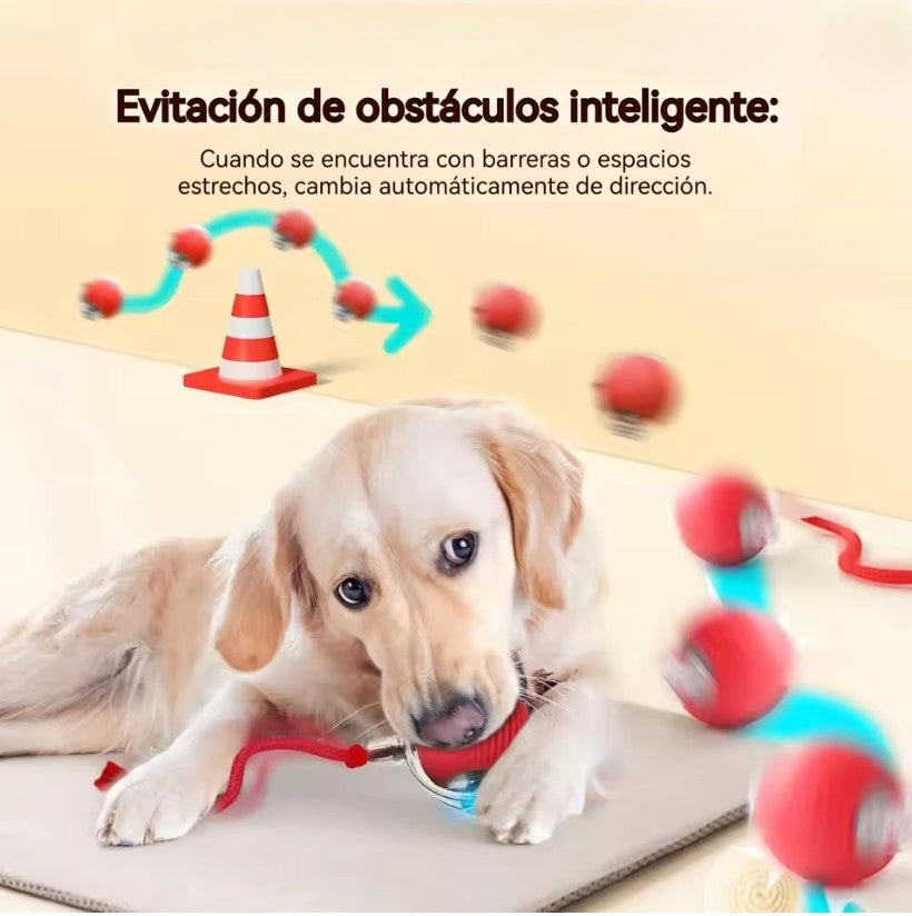 2 Juguetes Antiestrés e Inteligente para Mascotas + 1 de Regalo